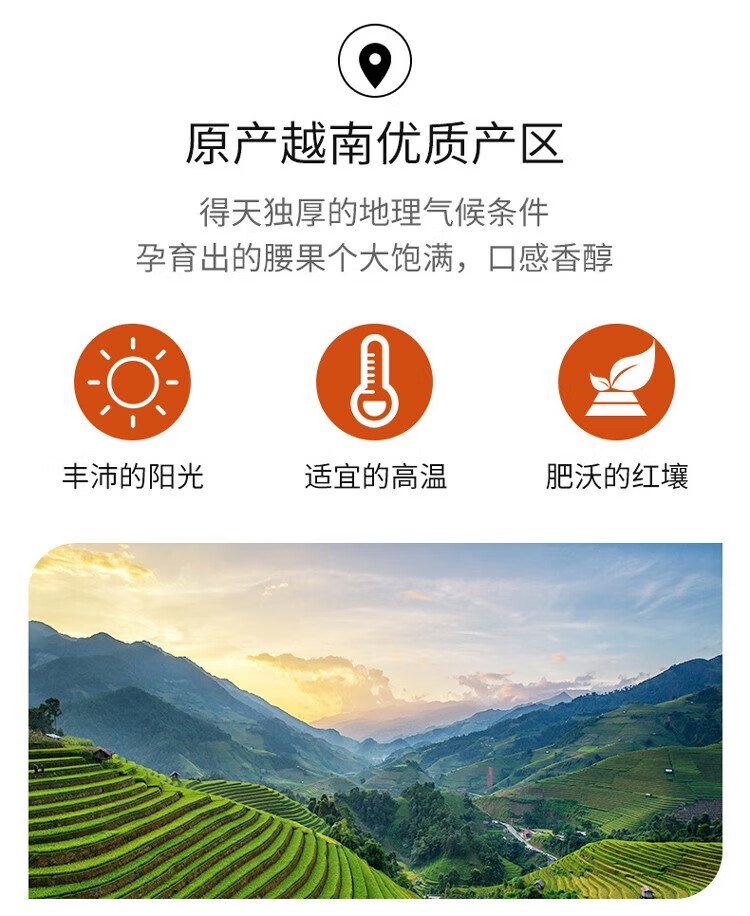 40c558fe695d34f7.jpg
