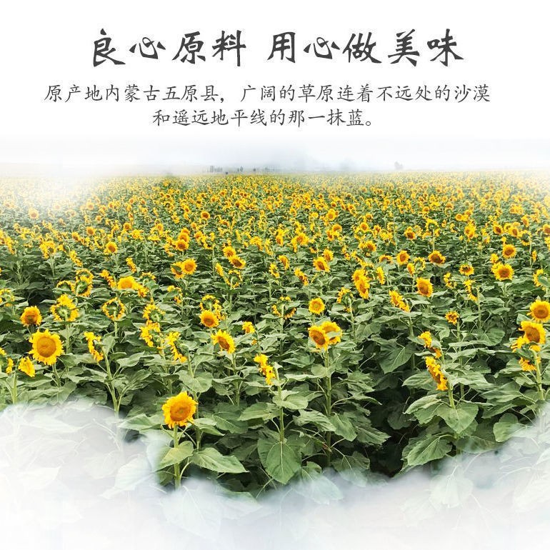 3aae633fa6d1cc67.jpg