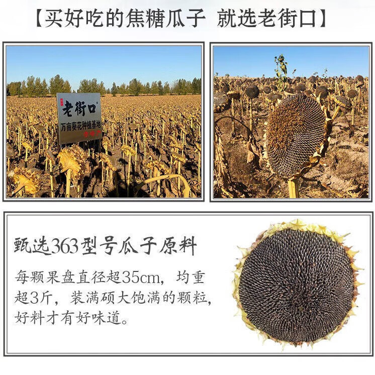 b117a8b033655ee9.jpg